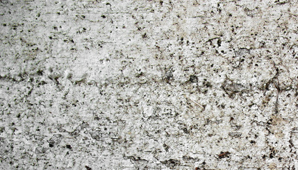Grunge Texture
