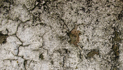 Grunge Texture