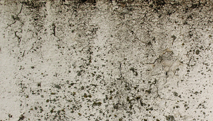 Grunge Texture
