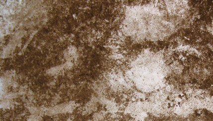 Grunge Texture