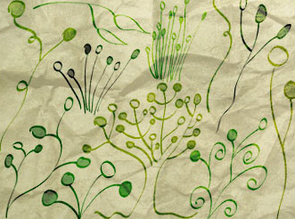Plant Things