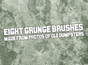 Dumpster Brushes