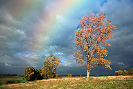 Add A Realistic Rainbow To A Photo In Photoshop