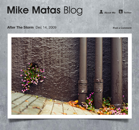 blogs15