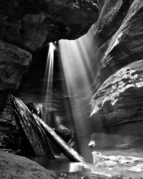 Beautiful Black and White Nature Photography