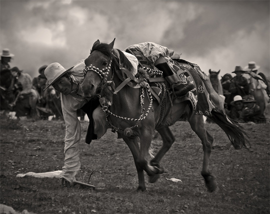 action photography