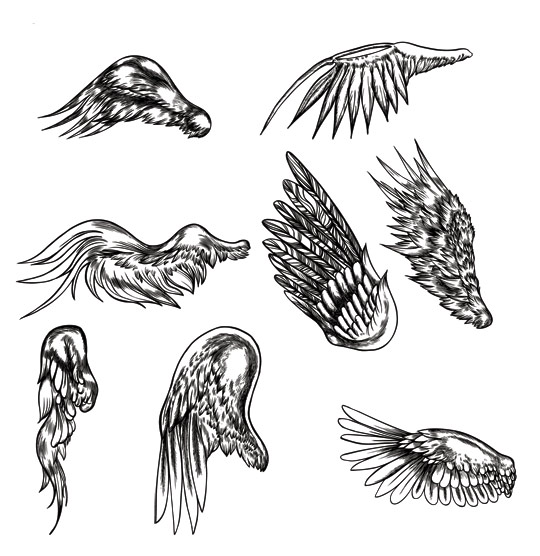 Photoshop Wings