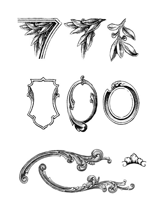 vectors