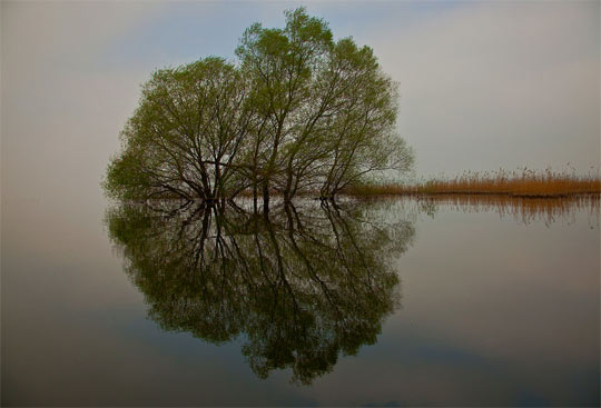 reflective photography