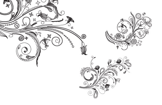 floral vectors