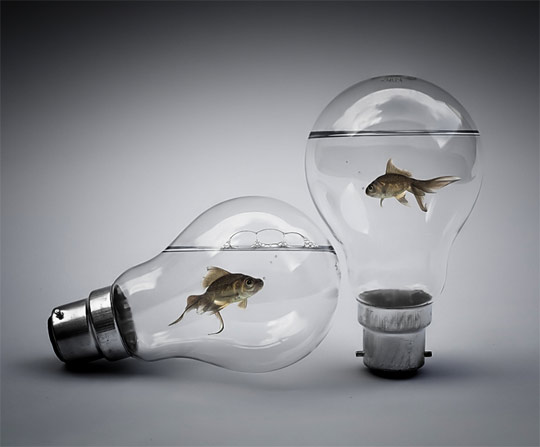 photo manipulation