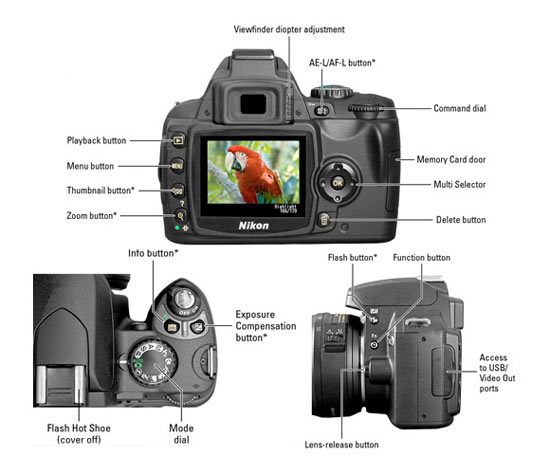 photography cheat sheets