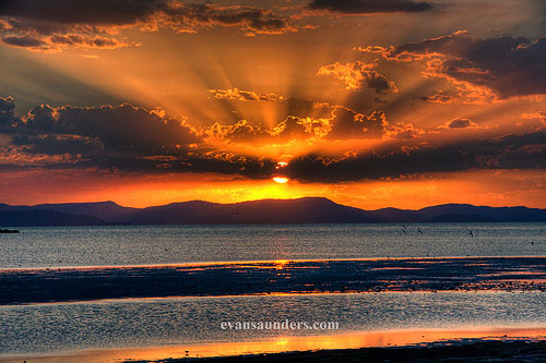 Whitsunday Puesta del sol