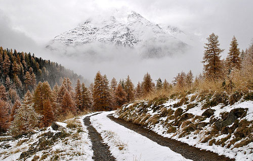 Camino a la de invierno