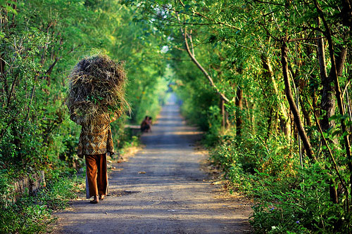 El hombre que camina