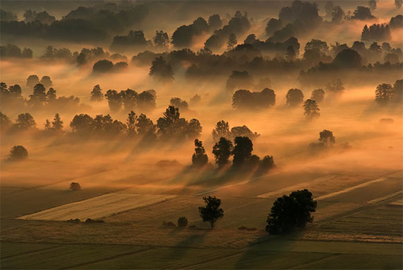 55幅非常漂亮的雾景摄影作品欣赏