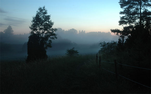 Foggy Morning Vapor