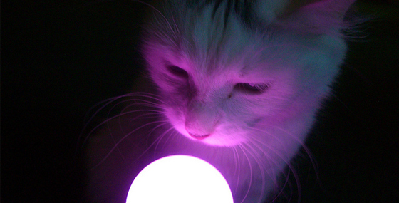 Playstation3 Move Controller - Light up the cat