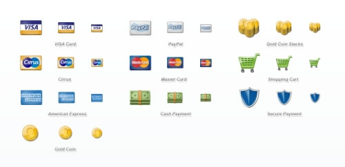 Payment Icon Set