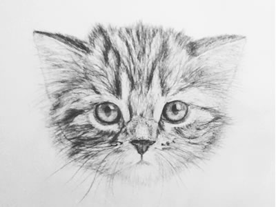 Inspiration: 23 Beautiful Drawings from Dribbble Inspiration: 23 Beautiful Drawings from Dribbble