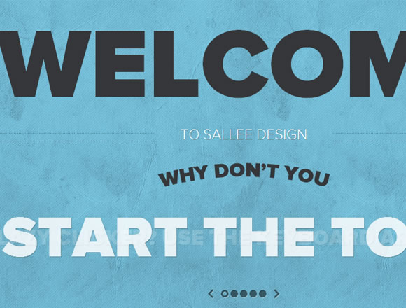 Sallee Design portfolio websites user interface