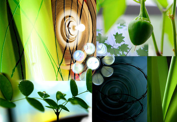 green nature moodboard