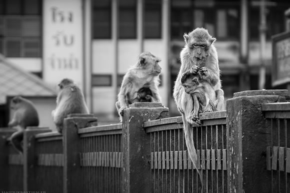 30 Inspiring Examples of Black and White Photography 30 Inspiring Examples of Black and White Photography