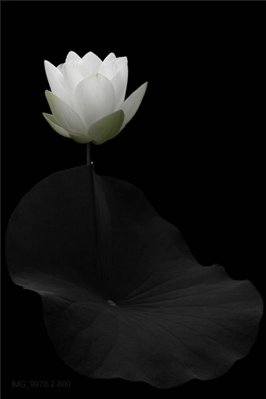 30 Inspiring Examples of Black and White Photography 30 Inspiring Examples of Black and White Photography