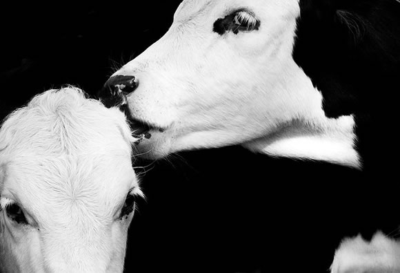 30 Inspiring Examples of Black and White Photography 30 Inspiring Examples of Black and White Photography