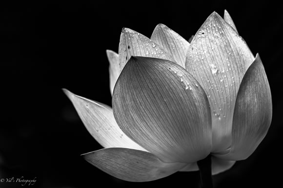 30 Inspiring Examples of Black and White Photography 30 Inspiring Examples of Black and White Photography