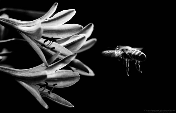 30 Inspiring Examples of Black and White Photography 30 Inspiring Examples of Black and White Photography