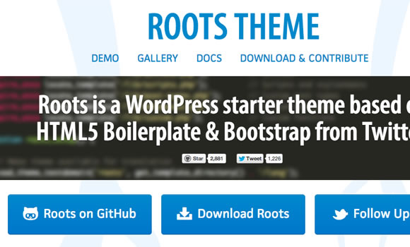 roots open source wordpress theme basics