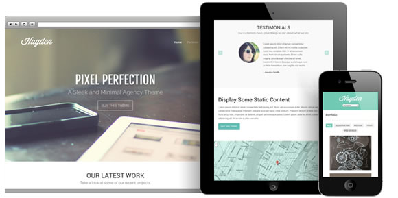 Hayden, A Professional Agency WordPress Theme