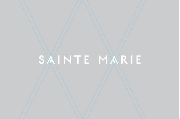 Branding: Elegant and Inspiring Examples Branding: Elegant and Inspiring Examples