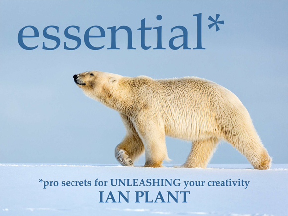 15 Free & Informative Photography Ebooks Useful to Read 