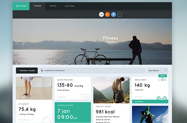 20-quantified-dashboard-fitness-layout.jpg