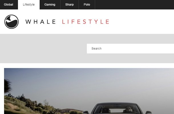 whale lifestyle search form design