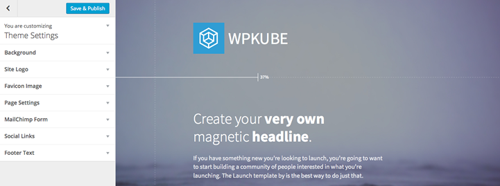 wpkube theme customizer