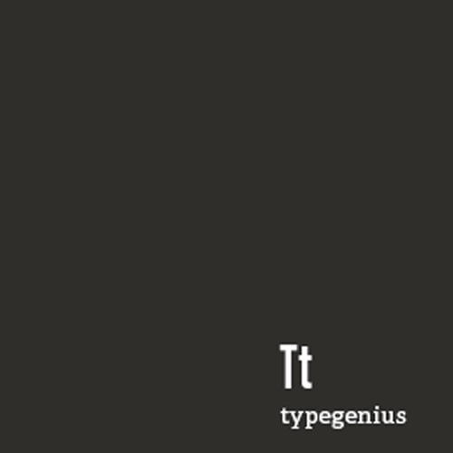typegenius-logo