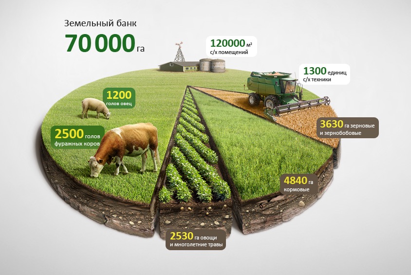 Infographic Agro Chart