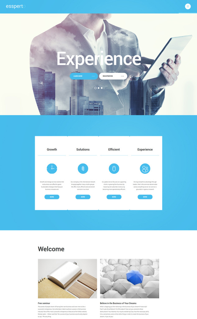 11 business wordpress template