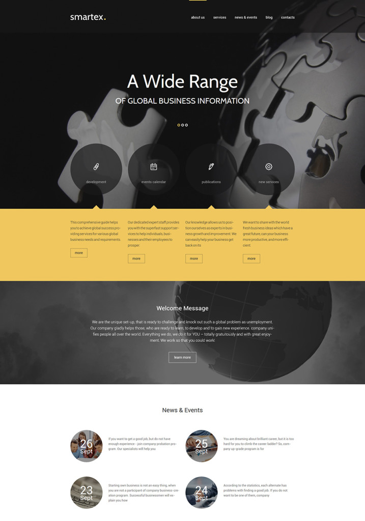 16 wp consulting theme