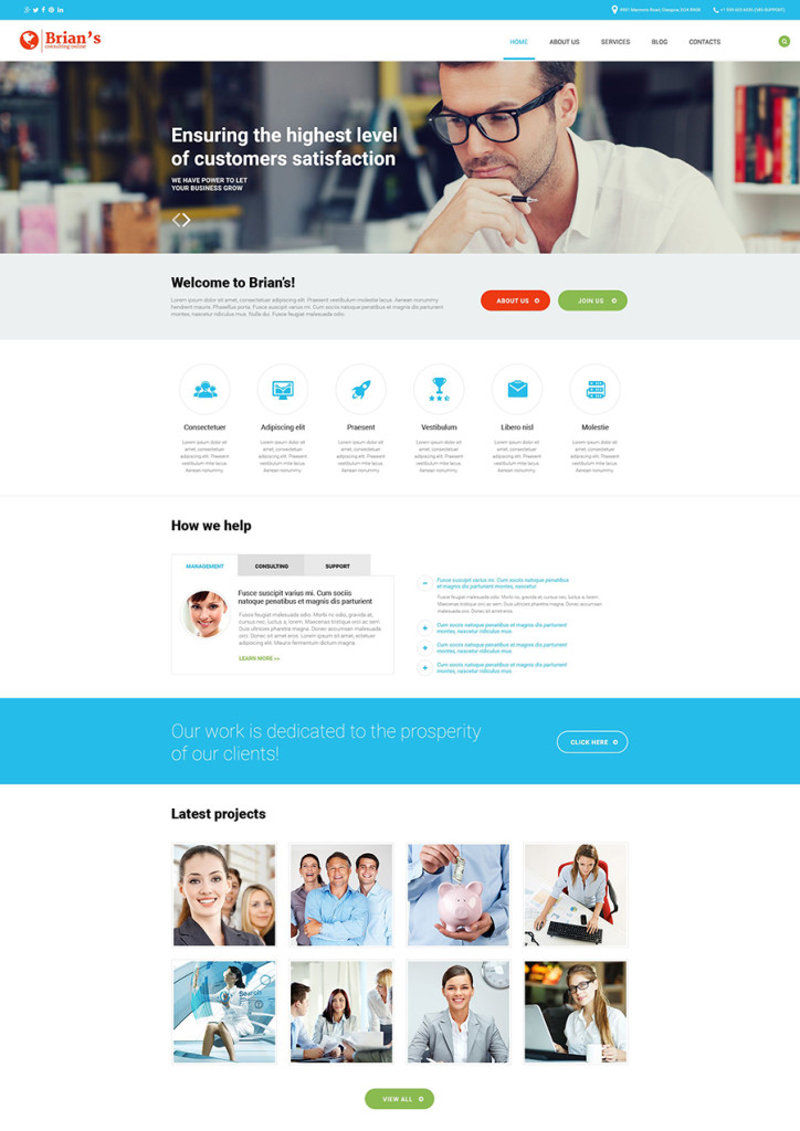 7 business and consulting wp theme