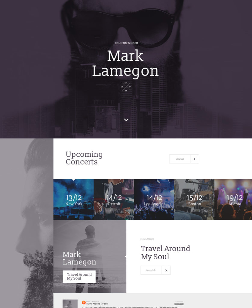 singer Landing Page Template