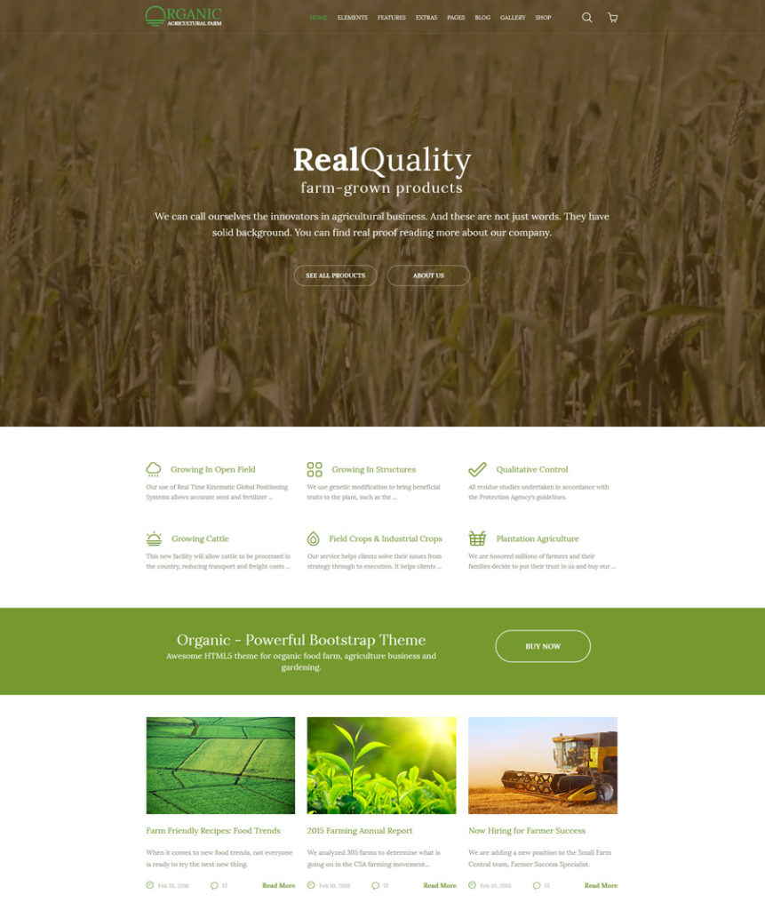 organic - one of the best multipurpose website templates