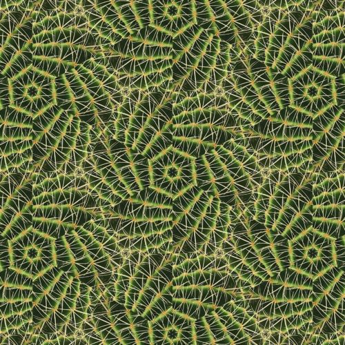 Organic abstract, background pattern featuring a profusion of thorns. Mutant nature, genetic mutation.