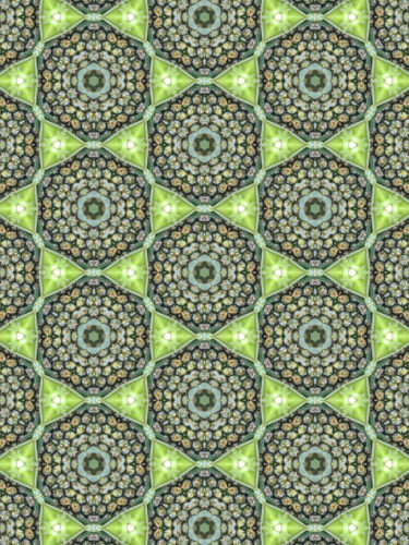 Abstract kaleidoscopic texture or background pattern design made from pineapple