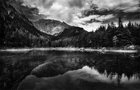 Professional Black And White Photography Of Nature