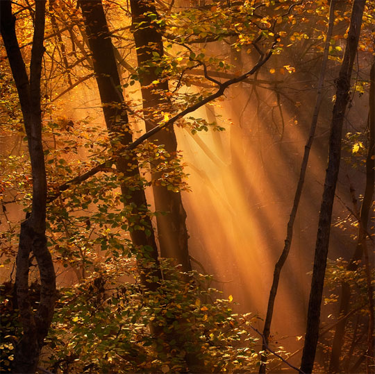 Fotografías con la luz como protagonista en el blog de diseño gráfico de verescreer