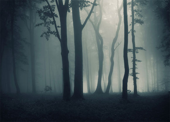 Showcase of Inspiring Foggy Photography - Web Design Ledger